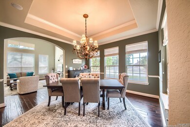 3847 Ox-Eye Daisy, San Antonio, TX 78261 - photo 6