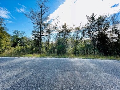 0 Church Dr, Hilliard, FL 32046 - photo 4