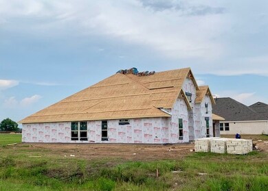 11332 Fannin Trail Ct, Needville, TX 77461 - photo 4