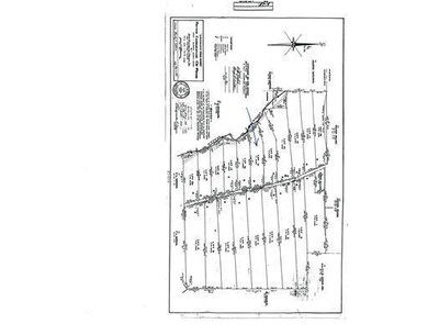 Other. Survey Map