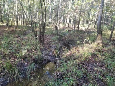 0 Peacemaker Lake Rd unit 288847, Monticello, FL 32344 - photo 2