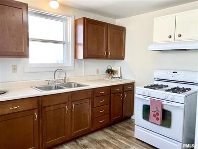 828 Pulaski St, Lincoln, IL 62656 - photo 3