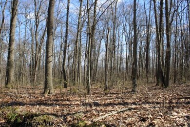 Lot 2 Sand Bank Heights Rd, Masontown, WV 26542 - photo 5