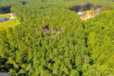 0 Moonlight Dr unit 10598549, Martin, GA 30557 - photo 7