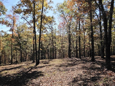 Lot 33, 34 & 35 Watersedge Dr, Edgemont, AR 72044 - photo 3