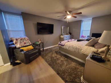 Bedroom with a ceiling fan and wood finished floors