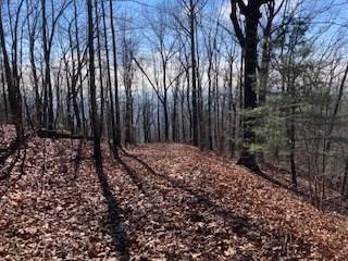 LOT 274 Heron Ct, Ellijay, GA 30540 - photo 5