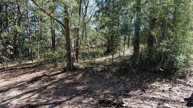 DJI_0443