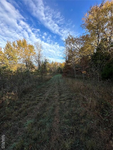 TBD Tract 4 Bobwhite Ln, Fairdealing, MO 63939 - photo 4