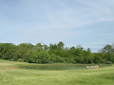 7-Pond from lot 6