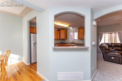 5534 Timeless View, Colorado Springs, CO 80915 - photo 4