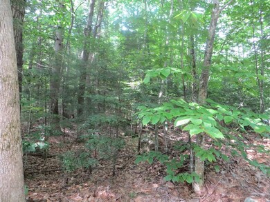 0 Acorn Ln unit 89-16 4814551, Moultonborough, NH 03254 - photo 6