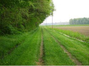 0 550 E unit 269931, Batesville, IN 47006 - photo 4