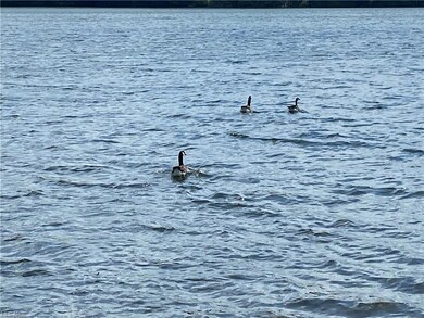 196 Iroquois St, Struthers, OH 44471 - photo 5