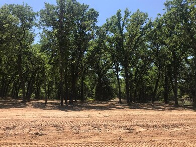 1030 Stagecoach Ranch Dr, Weatherford, TX 76085 - photo 4