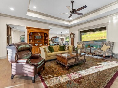 Great room - tray ceiling