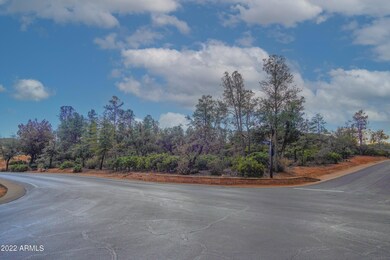 807 N Desert Mimosa Cir unit 884, Payson, AZ 85541 - photo 7