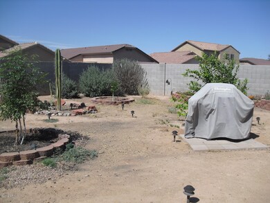 backyard II