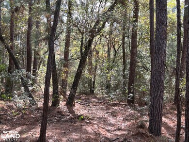 0 Cr 446 unit 22215070, Navasota, TX 77868 - photo 5