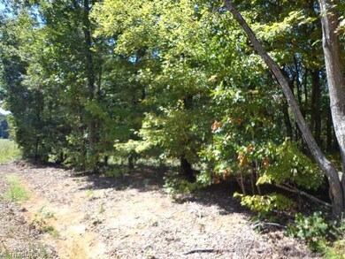 0 Picketts Mill Rd unit 772319, Seagrove, NC 27341 - photo 2