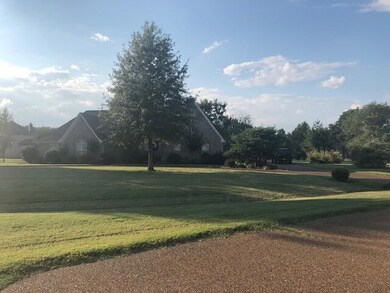 Frontyard