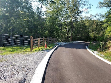 295 Falls Creek Way, Somerset, KY 42503 - photo 2