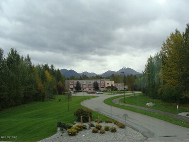 Mountain Views