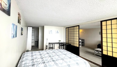 bedroor area, closets in the rear