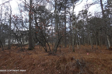 D1922 S Old Stage Rd, Penn Forest Township, PA 18210 - photo 4