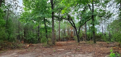 TBD County Road 336, Jasper, TX 75951 - photo 3