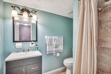 Lower Level Bathroom