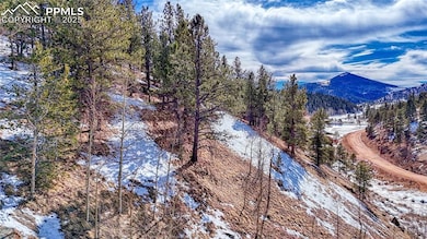 626 Little Topsey Dr, Cripple Creek, CO 80813 - photo 5