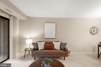 The Astoria unit 112, Arlington, VA 22201 - photo 5
