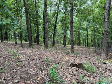 Wildlife and nature-scapes abound!