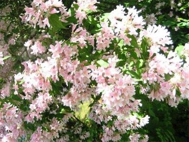 37 Fayette Rd, Bedford, MA 01730 - photo 2