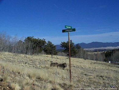 203 Falcon Rd, Como, CO 80432 - photo 6