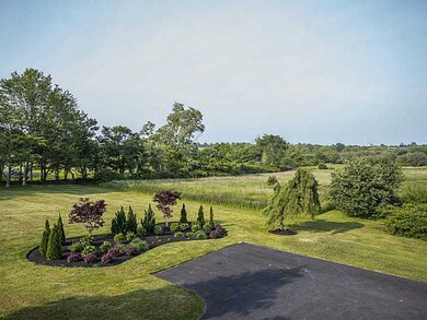 Yard/Garden.