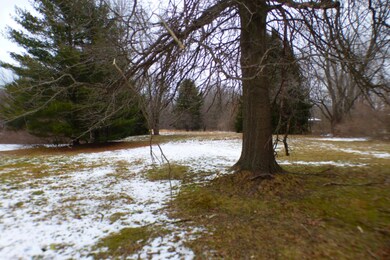 9415 1/2 Union Pier Rd, Union Pier, MI 49129 - photo 5