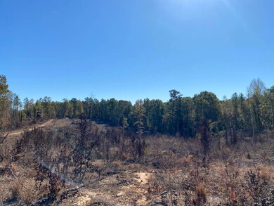 0 Vertie Hoggle Rd, North Perry, AL 36756 - photo 7