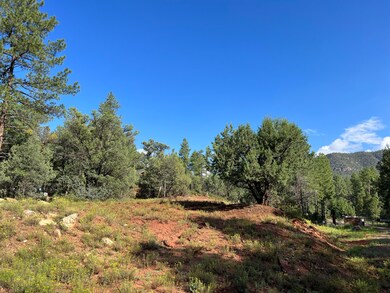 389 E Apache St, Pine, AZ 85544 - photo 5