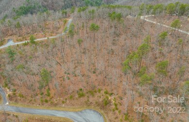72 Lobelia Way unit 72, Boone, NC 28607 - photo 3