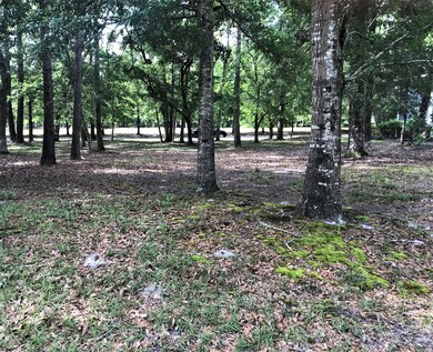 lot view