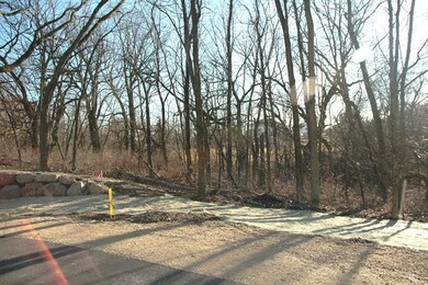 Lot 8 Adams Park Ct, Madison, WI 53562 - photo 4