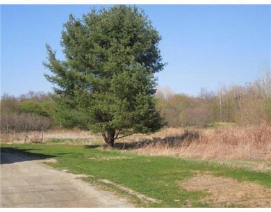 Yard/Garden.