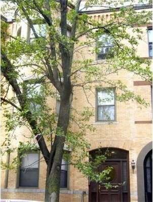 43 Saint Botolph St unit 104, Boston, MA 02116 - photo 5