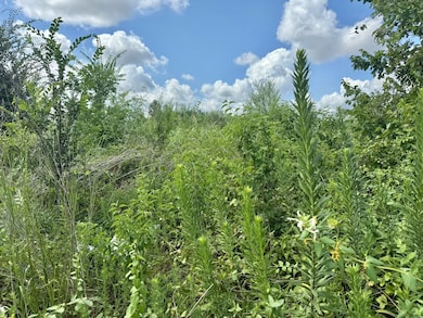 0 Alief Clodine Rd unit 13591972, Houston, TX 77082 - photo 4