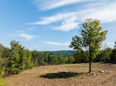 0 Swaller Hill Rd unit 24141835, Sharon, CT 06796 - photo 5