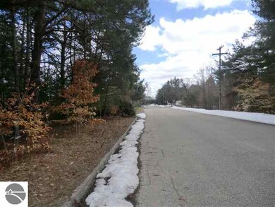 0 Brook Ave unit 1785391, Kaleva, MI 49645 - photo 4