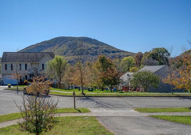 View From Front Door