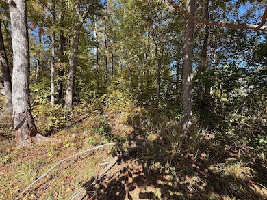 0 Gardenia Rd unit 53224, Sparta, GA 31087 - photo 2